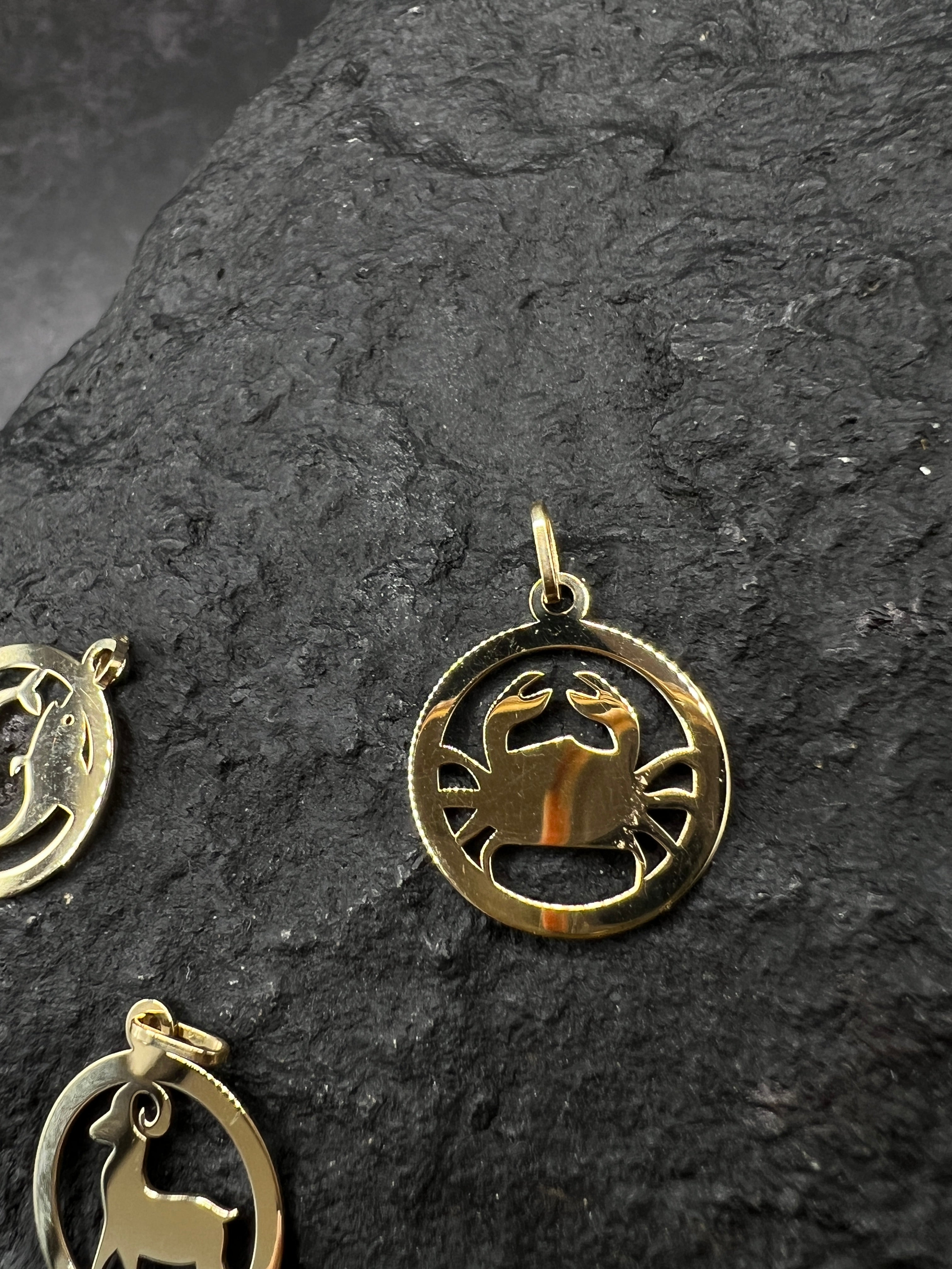 Kollektion Sternzeichen-Anhänger • 585 Gelbgold • Unisex