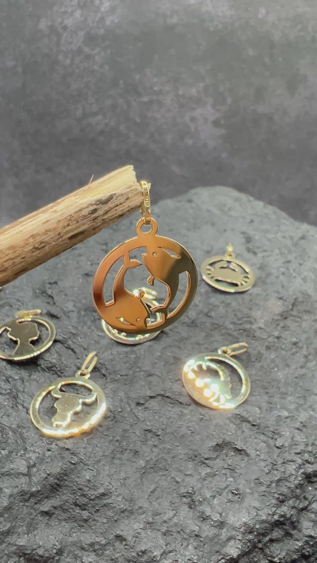 Kollektion Sternzeichen-Anhänger • 585 Gelbgold • Unisex