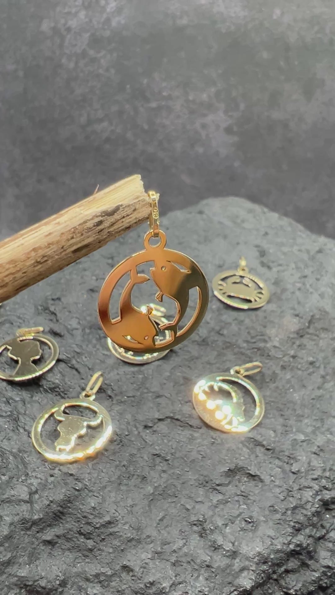 Kollektion Sternzeichen-Anhänger • 585 Gelbgold • Unisex